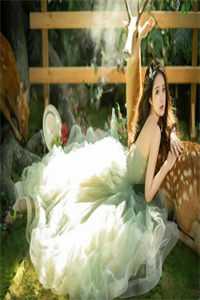 南风未起，念你成疾全文免费