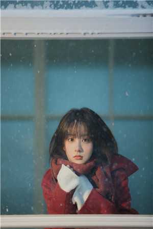 京北晚来信完结文