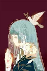 草原的格桑花又开已完结版