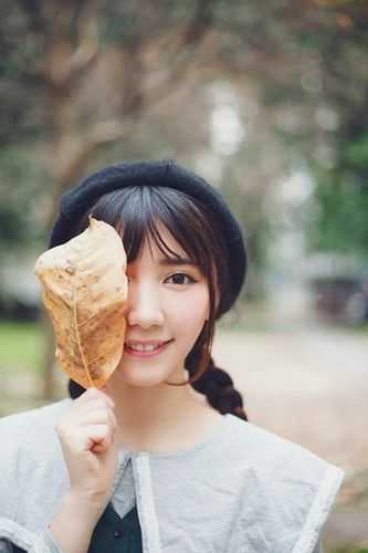 旧风未散的夏天江砚书夏韵前文+后续