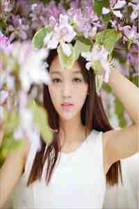 暮雪葬归途未删减版