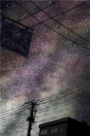 春庭雪落离人苑全文免费阅读