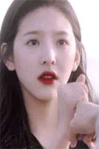 再无相思寄沧海试读