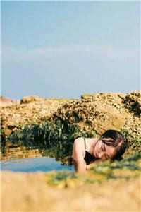 长安落雪，故人不归精选