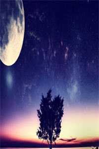 临死激活系统，从ICU走向人生巅峰精选