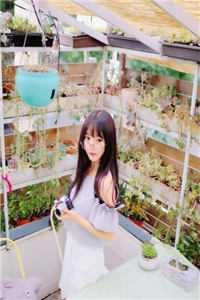 绑定系统后，攻略前女友闺蜜小说结局