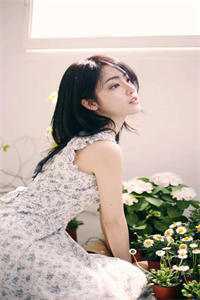 春深不归客，清梦不相逢畅销巨著