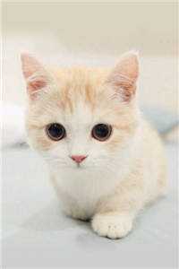 在高端会所里玩跑酷，她是第一个！全章阅读