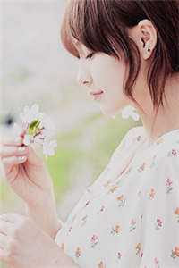 旧风未散的夏天好书