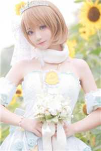 爱如长风，再无归期已完结版