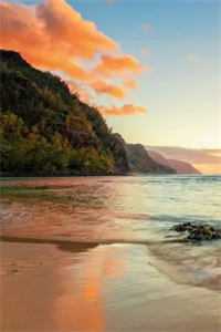 满城飞絮皆是恨全章节阅读