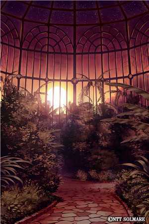 挺着孕肚照顾病重婆婆两个月，她立遗嘱分家产时却没我的份免费阅读