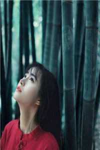 赠你朝暮时已迟无删减