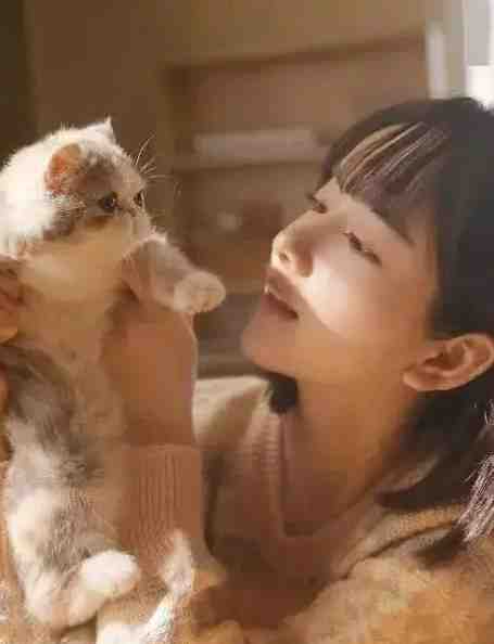 楠木霜尽旧恨消小说免费阅读全文