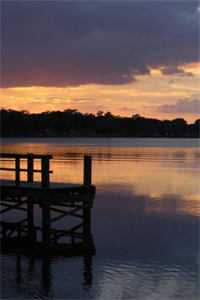 她迎私生子进门，我向西北报道后续+结局