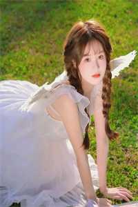 爱填山海，梦葬繁花目录