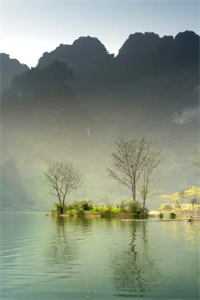 饭局重逢，我是他最熟悉的陌生人邵行野秦筝大结局