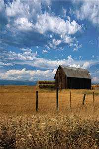 庾楼空锁音后续+番外