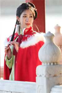 北城寂寥南城殇最新