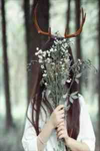 旧风未散的夏天免费阅读全文