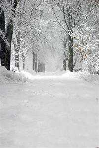 若逐光赴星海的小说