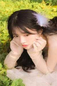 南风吹梦入西洲畅读