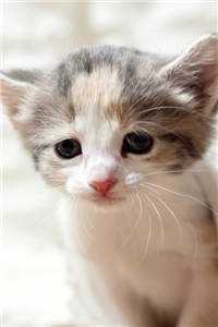 姐姐夺走母亲去受苦，她选择享福列表