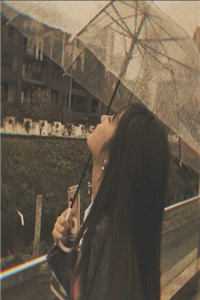 陪她看尽维港夜免费阅读全文