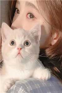 大婚当日九皇子要我给侍女磕头，太子一怒抢亲爆款热文