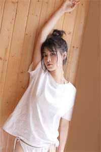 外交翻译官：我的征途是山河无恙全文+后续