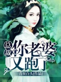我在最后一世找到了他好书