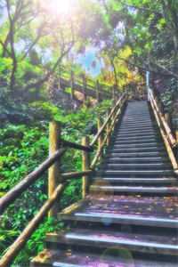 庭前落影朝又幕番外+无删减