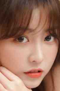 半盏花灯枕明月小说全文免费