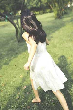 你是青山经年的雪完本