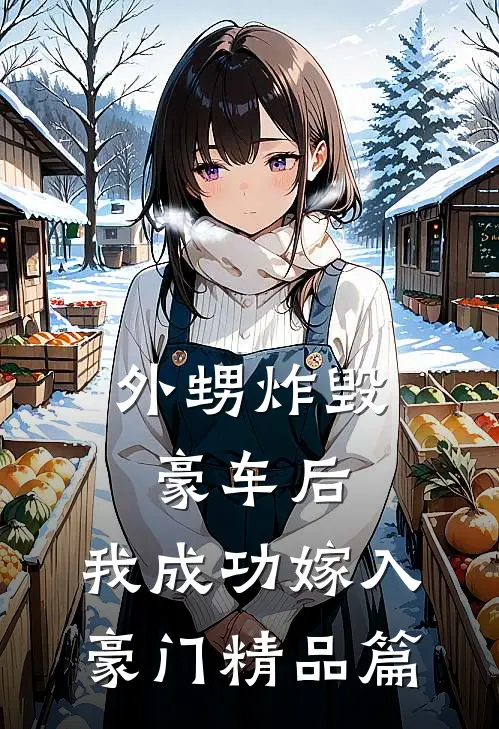 外甥炸毁豪车后，我成功嫁入豪门精品篇