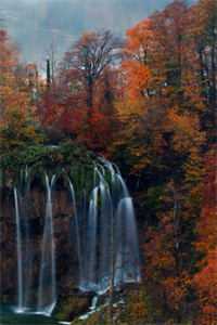 染尽夏梦碎星河完结txt