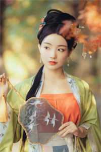 梨花落尽月又西后续+结局