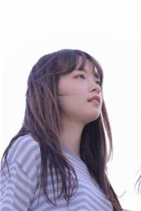 绝字入归鸟在线阅读