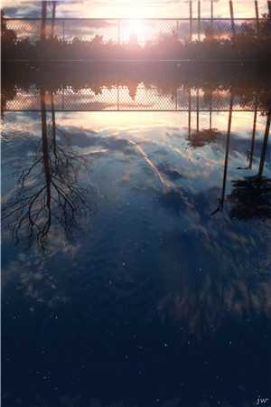 爸走后，我被弟弟撵出家门结局