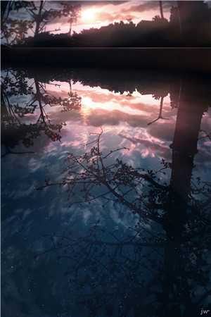 和儿子流浪七年后，我不要丈夫了小说在线阅读免费