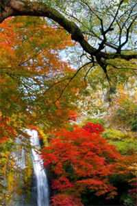 老公忙着哄学妹，我只想去父留子抖音