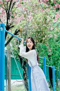 错付半生：重生后我全员打脸全章节