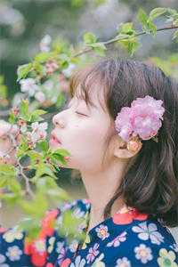 晚风辞朝露全集