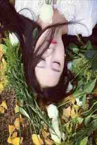 夜雨折尽楚江花全文免费