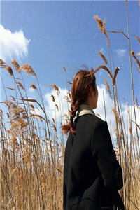 从此春风无故人后续+全文