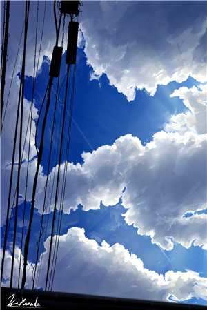 余晖映城离孤雁试读