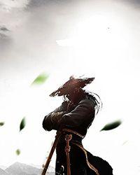 精品仙途漫漫：逐梦苍穹