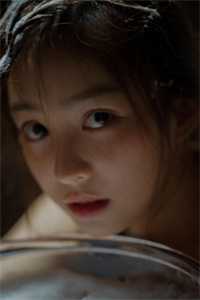 杨过：这次，换我来守护桃花岛完结txt