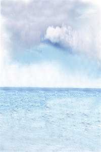 一张假证骗我六年，我不做护工后杀疯了沈知远苏晚晴后续+全文