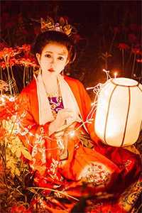 浮生一刻寄相思全章节